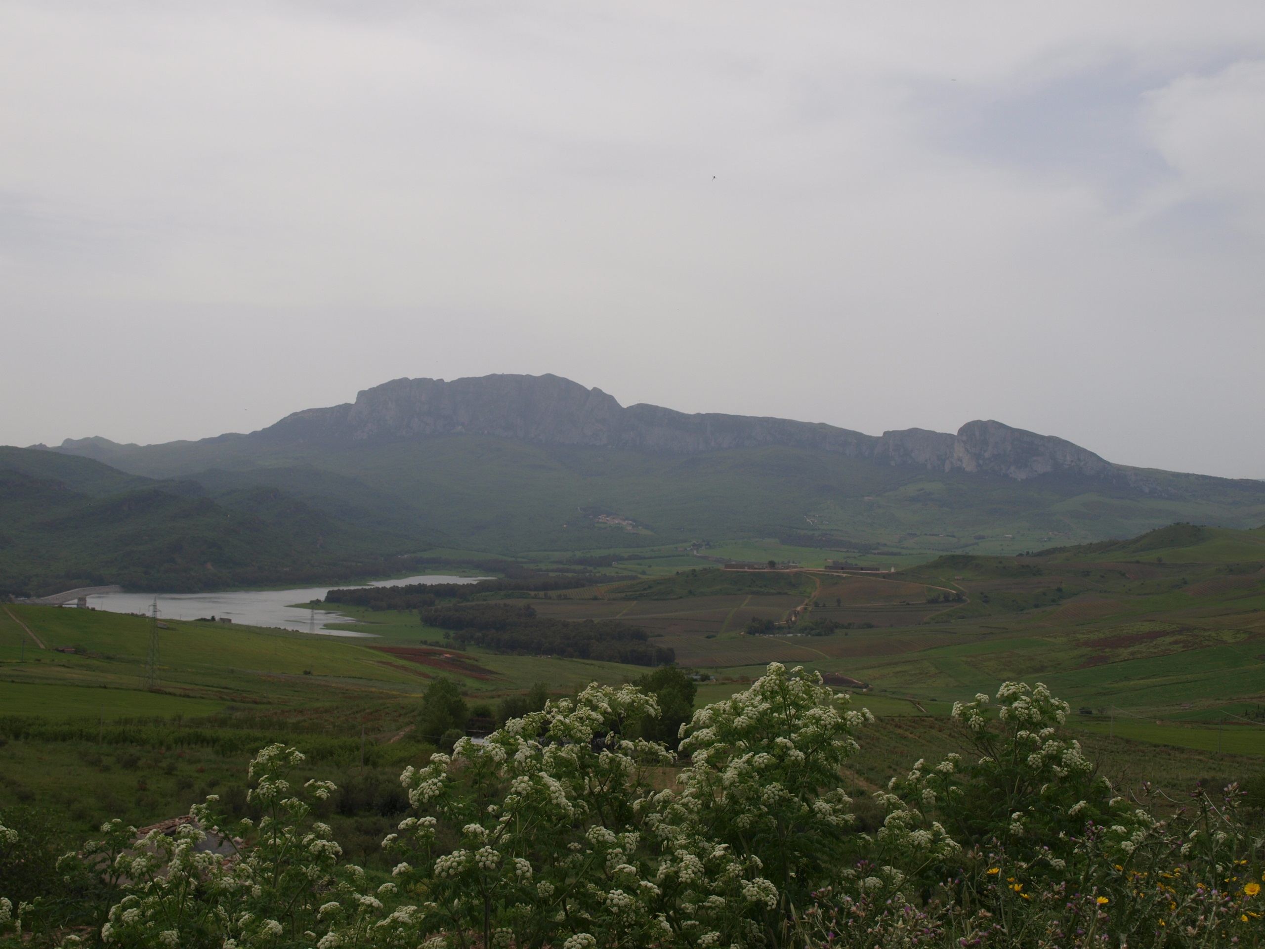 P4182351.JPG