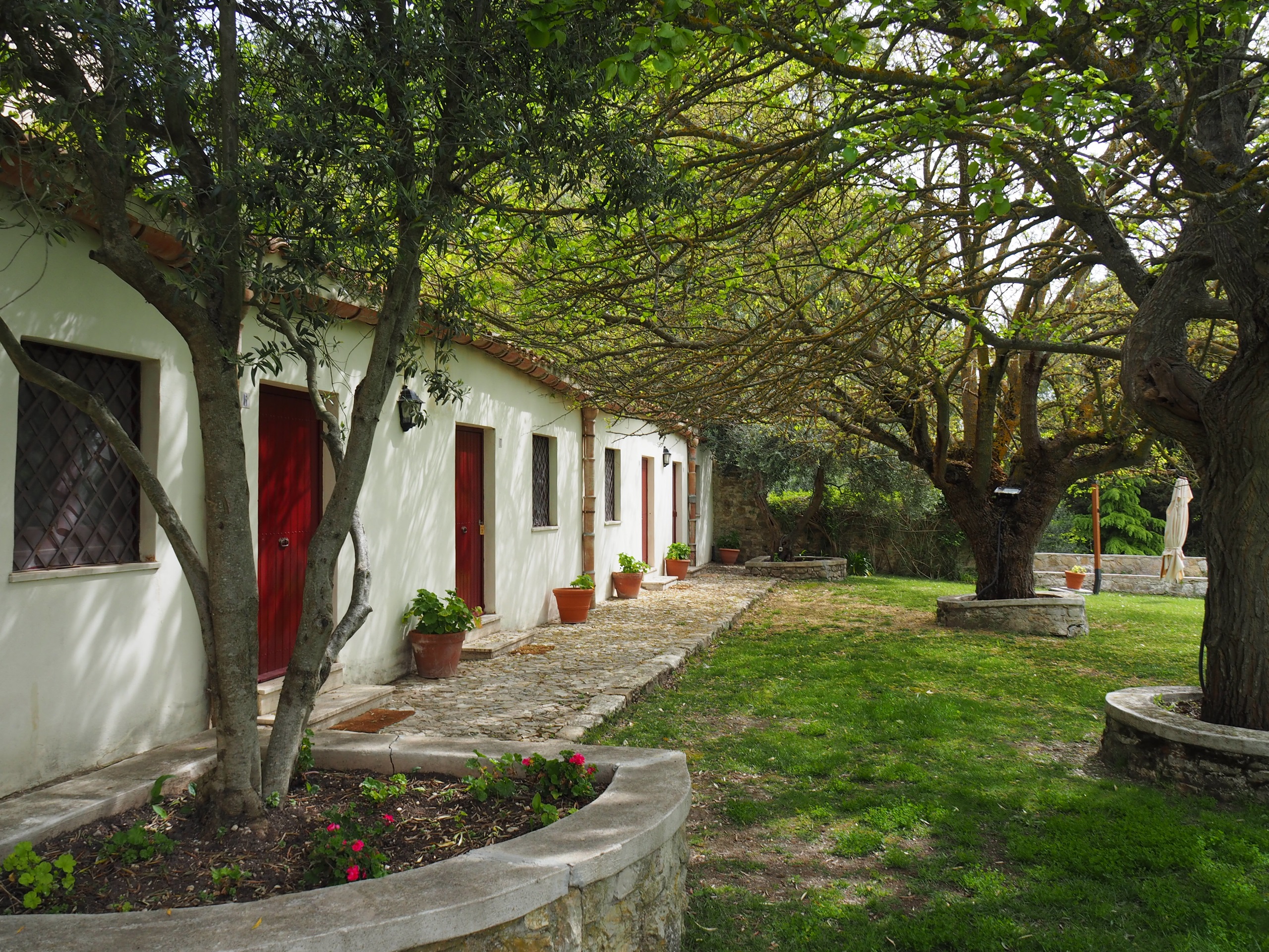 P4182576.JPG