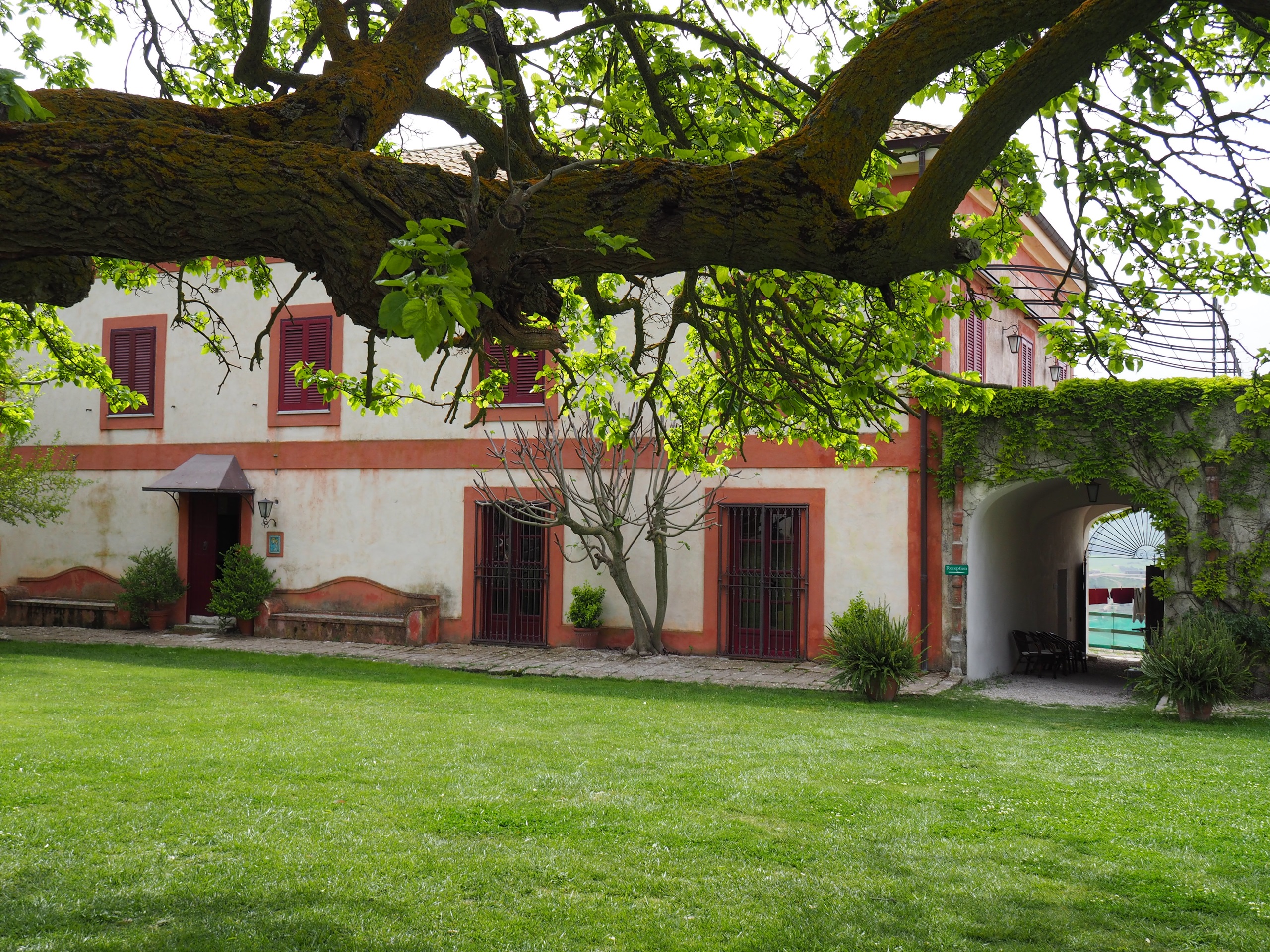 P4182577.JPG