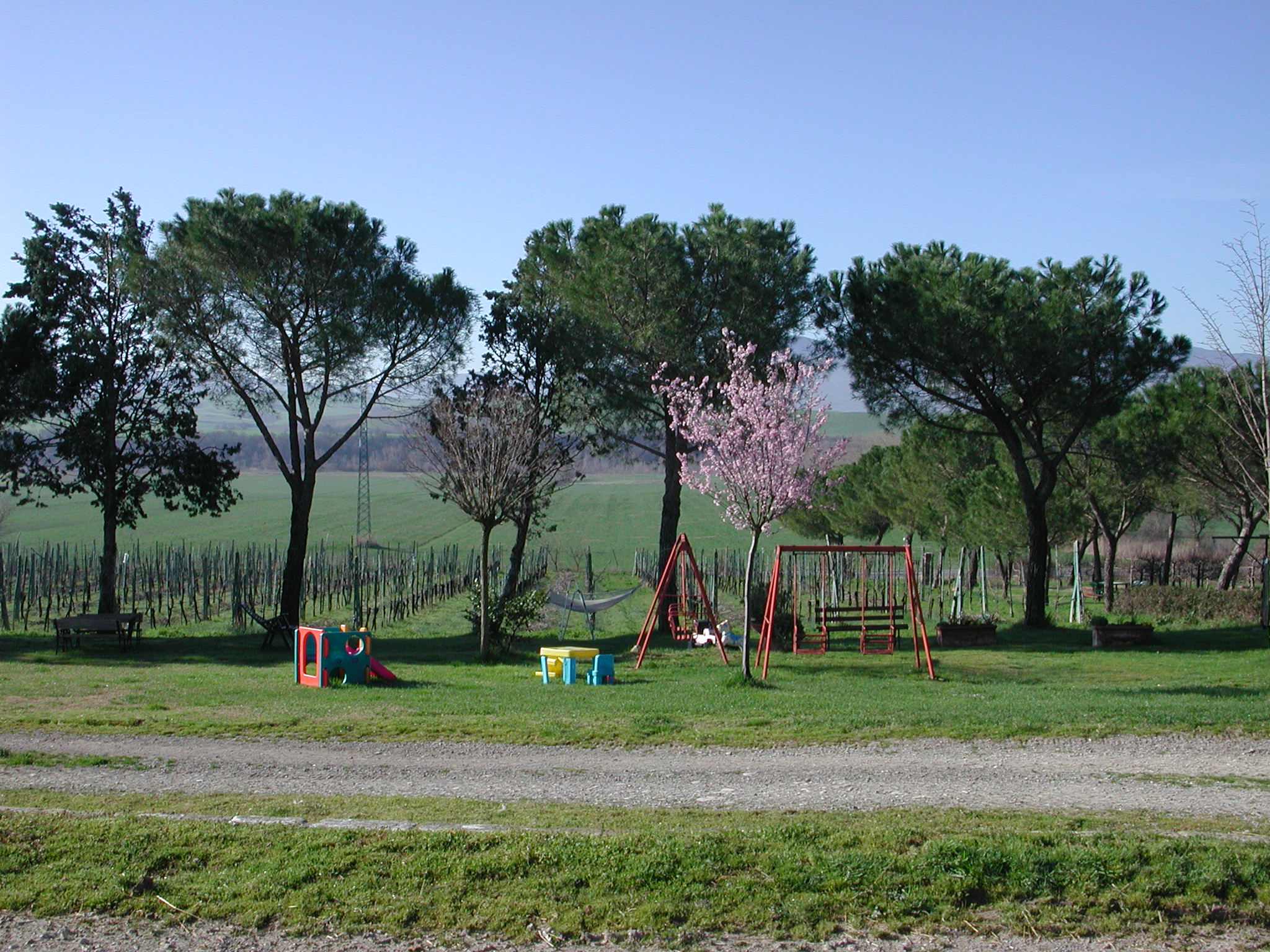 pienza.checcheagri.0401.jpg