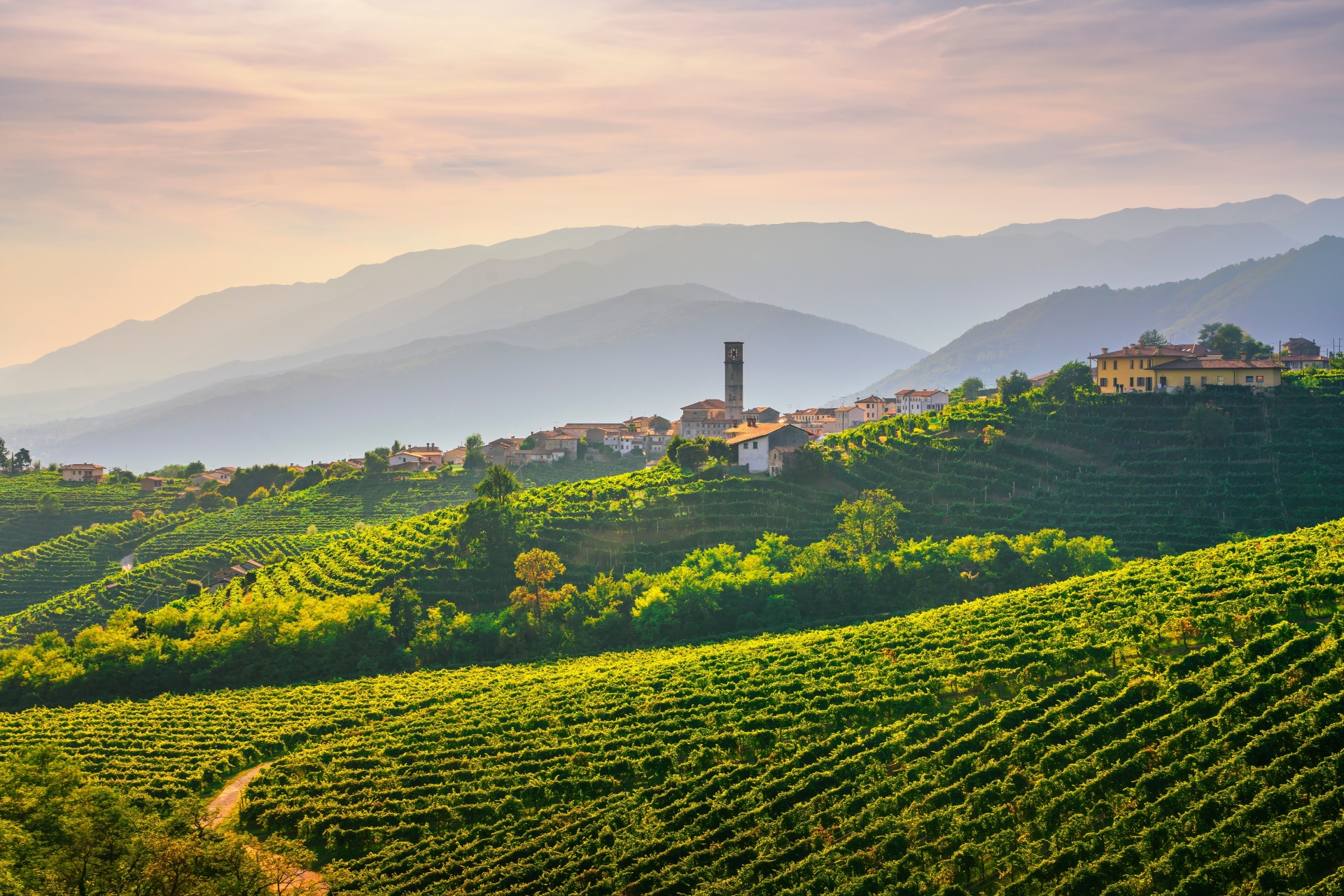 Proseccoheuvels in de Veneto