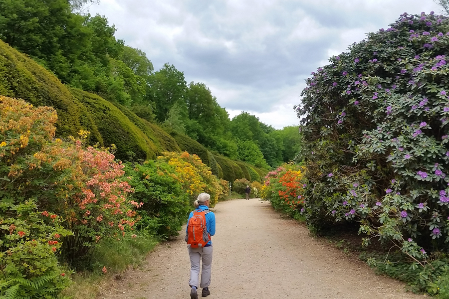 Nederland - Veluwe - Zuid