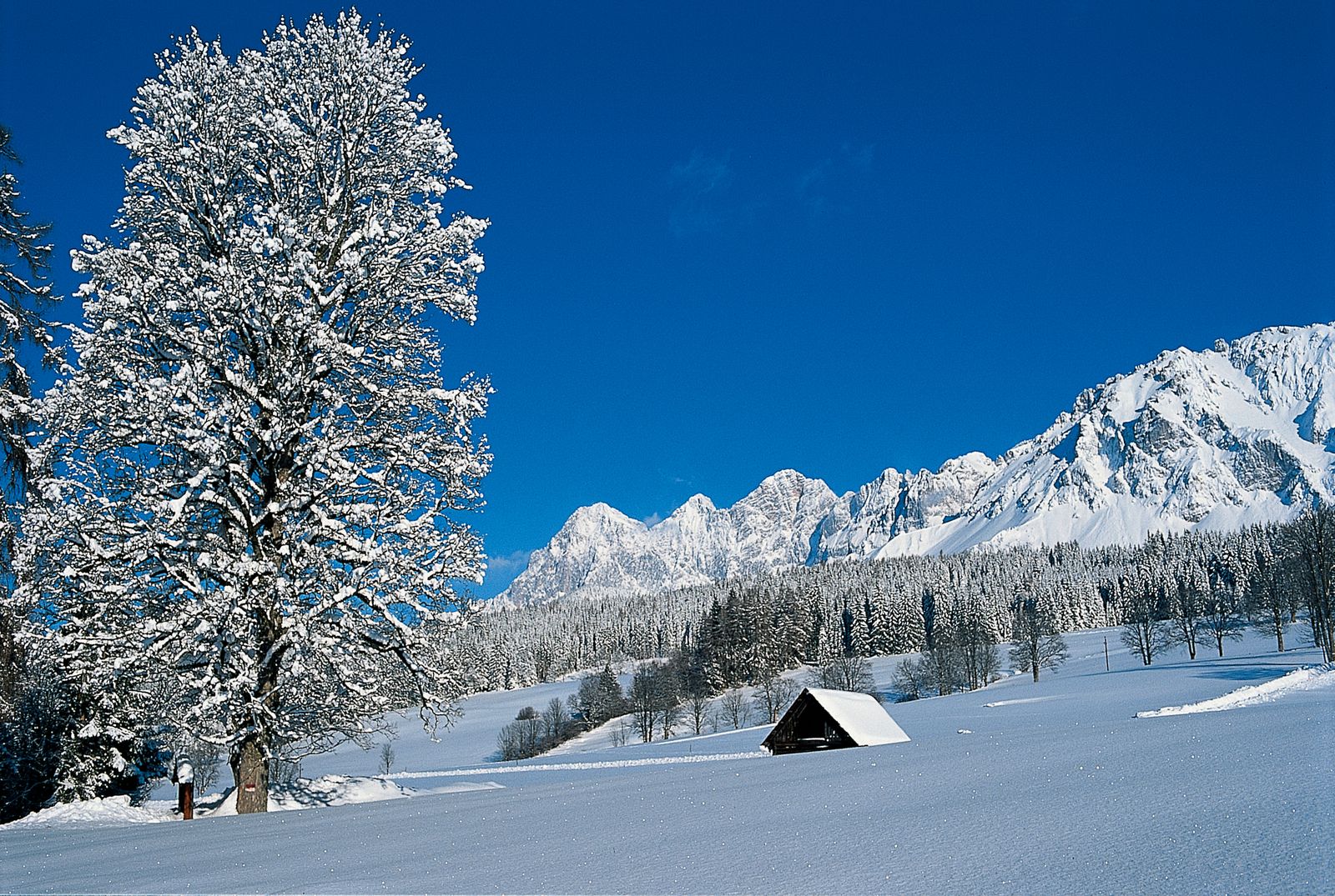 ramsau_in_de_winter.jpg