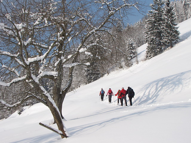 Oostenrijk - Salzburgerland