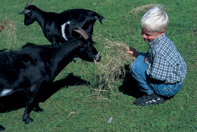 kinderboerderij.jpg