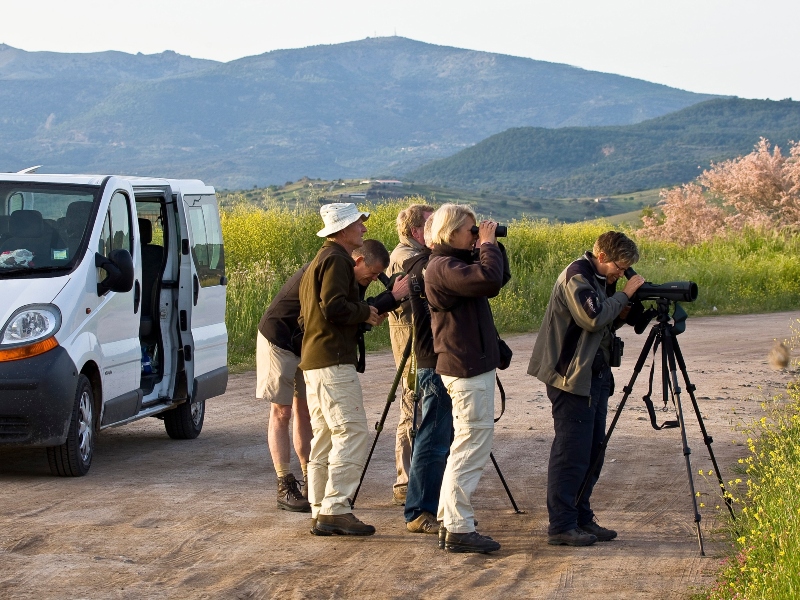 Vogelreis Portugal Algarve Alentejo