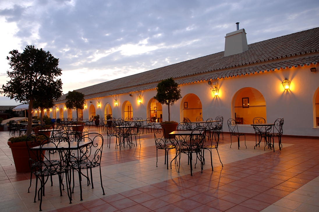 albacora-terraco-1_w.jpg