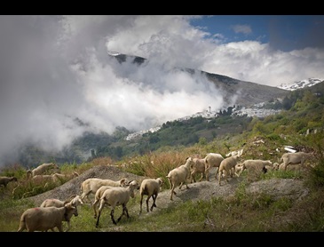 alpujarras---1.jpg