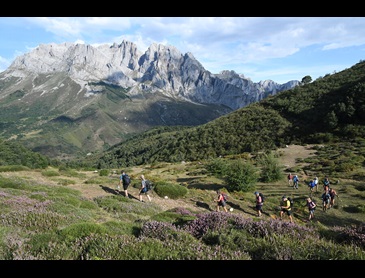 Picos de Europa