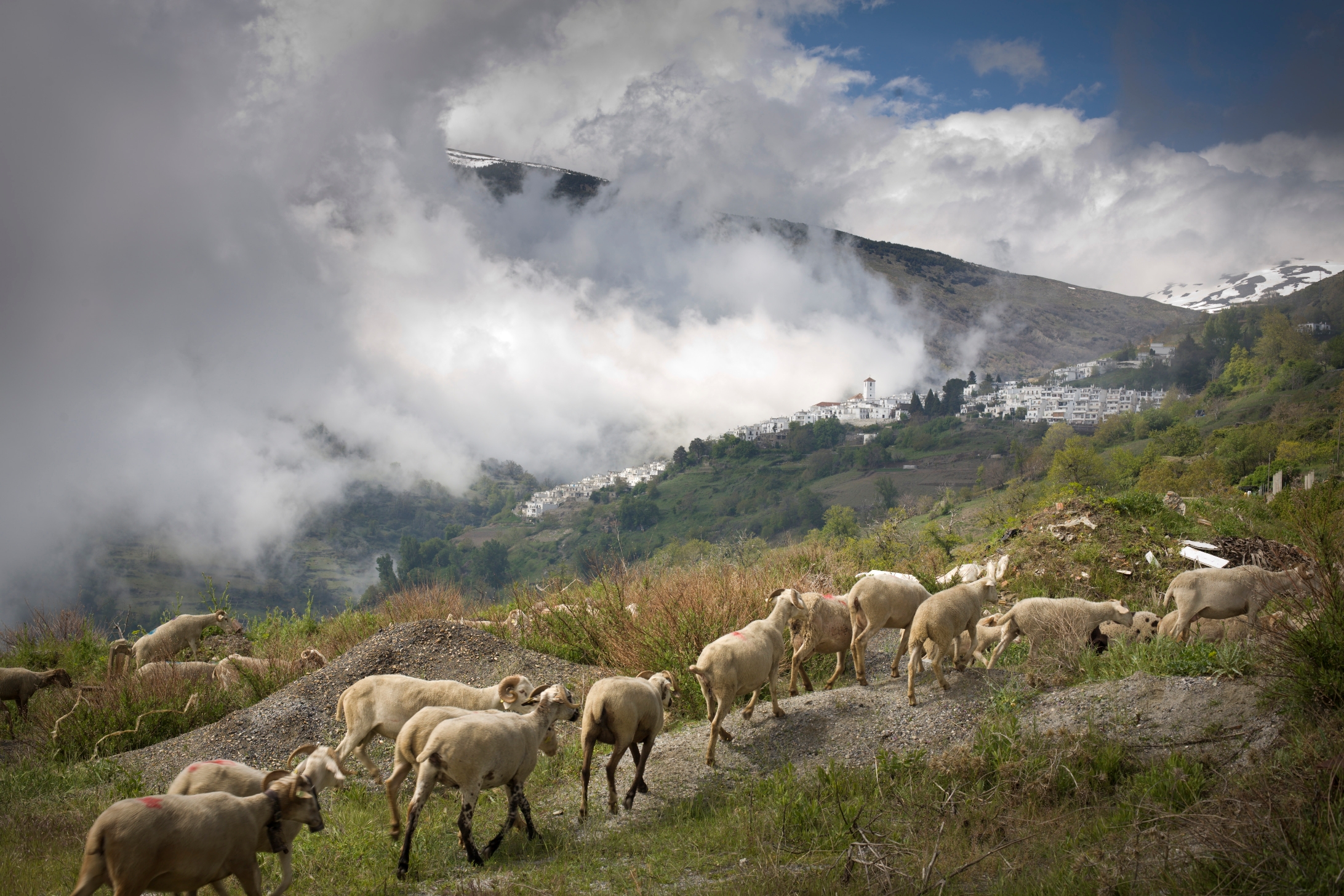 Spanje - Andalusië - Sierra Nevada