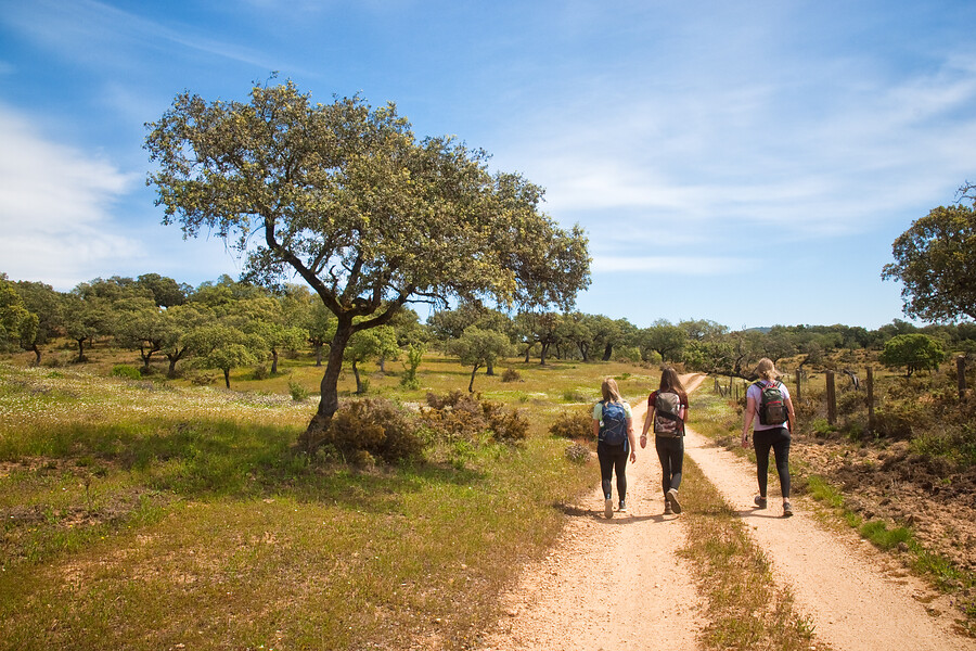 Spanje - Sierra de Aracena