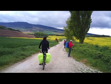 St_James_Way_Cyclist_meets_walkers-C.jpg