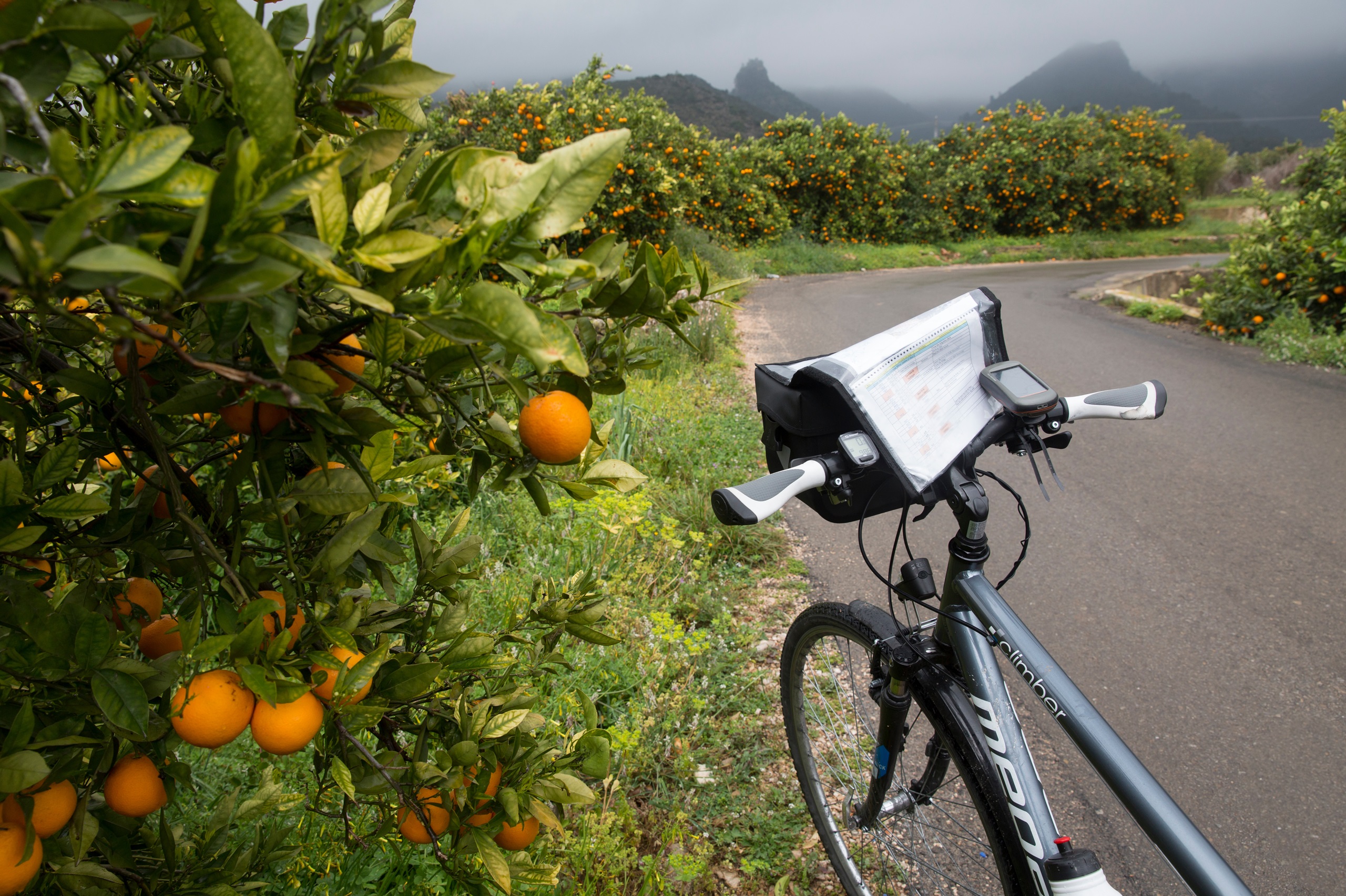 land van de sinaasappel