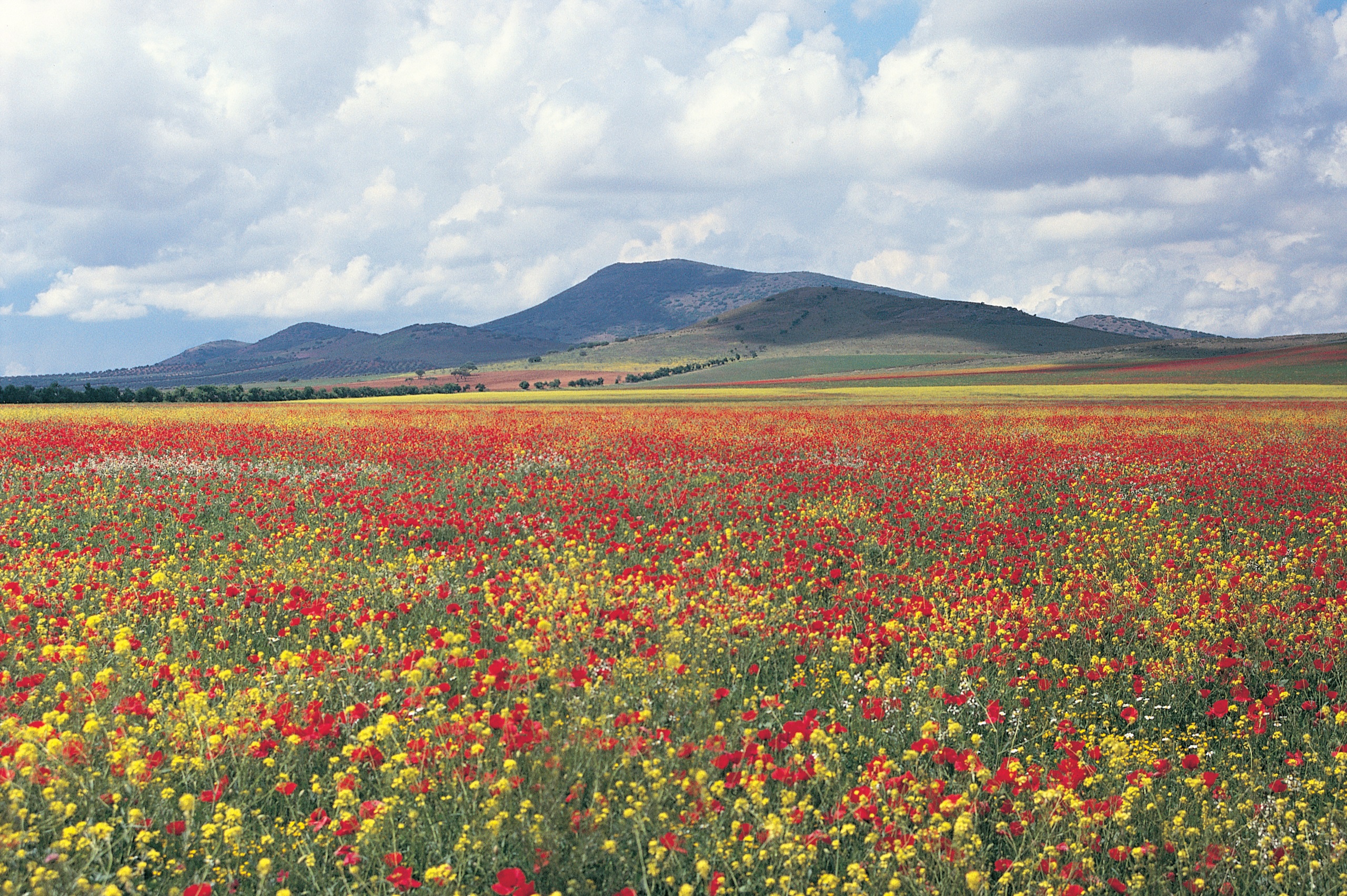 voorjaar in Extremadura