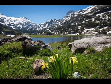 Pyreneeen