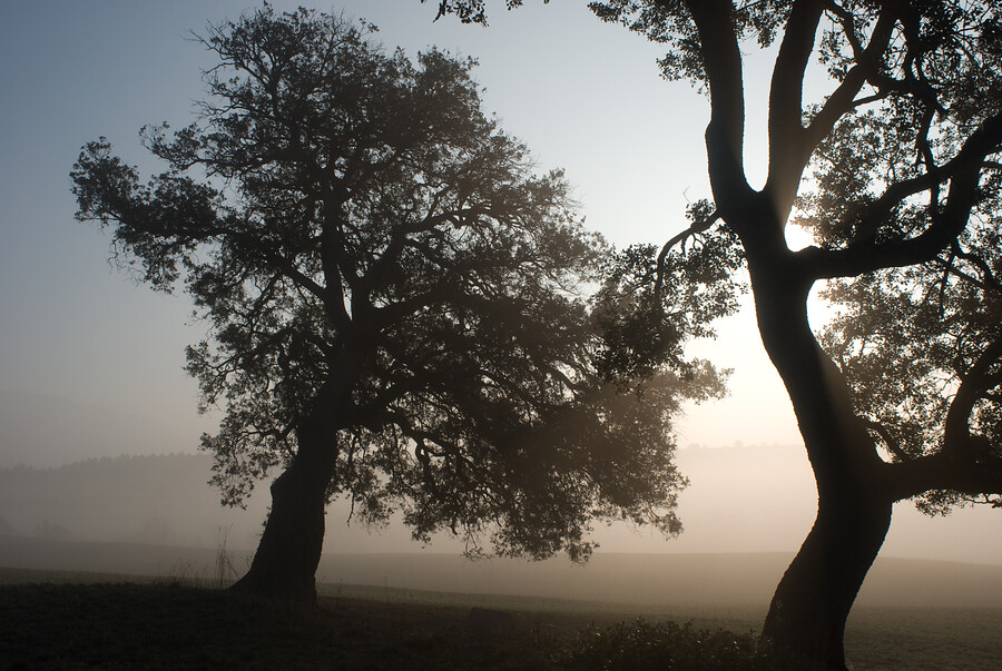 Catalonië Pre-Pyreneeën