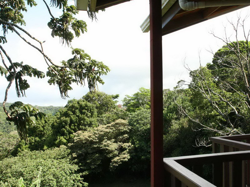 CR_Cala_vista_WEB.jpg