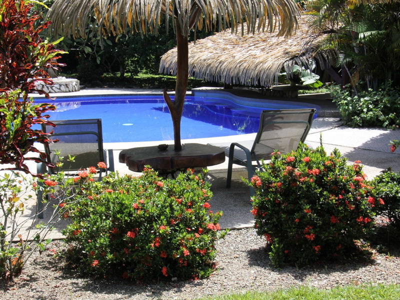 CR_Suizo_Lodge_pool_area_2_WEB.jpg