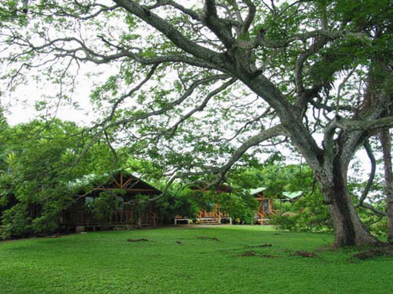 bungalows_in_ruime_tuin.jpg
