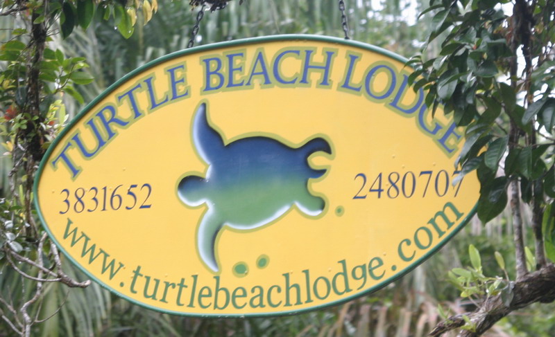 welkom_bij_de_turtle_beach_lodge.jpg