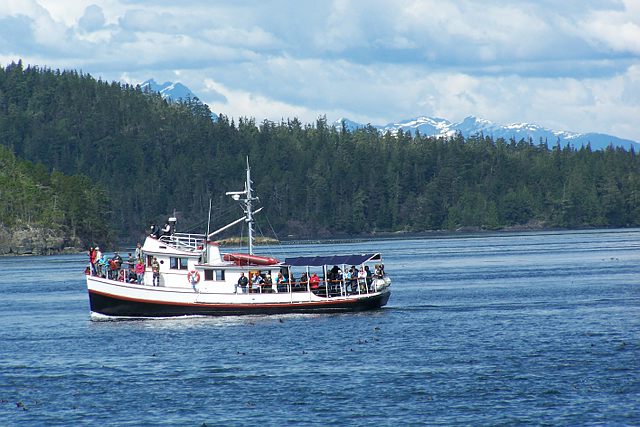 orcacruise_in_johnstone_strait.jpg
