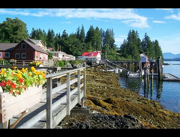 Bamfield_2.jpg