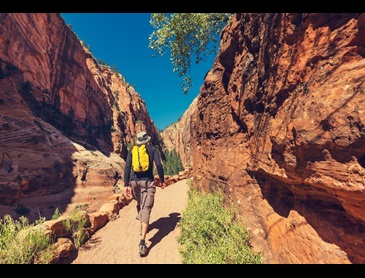 hiking_zion,_Andrushko.jpg