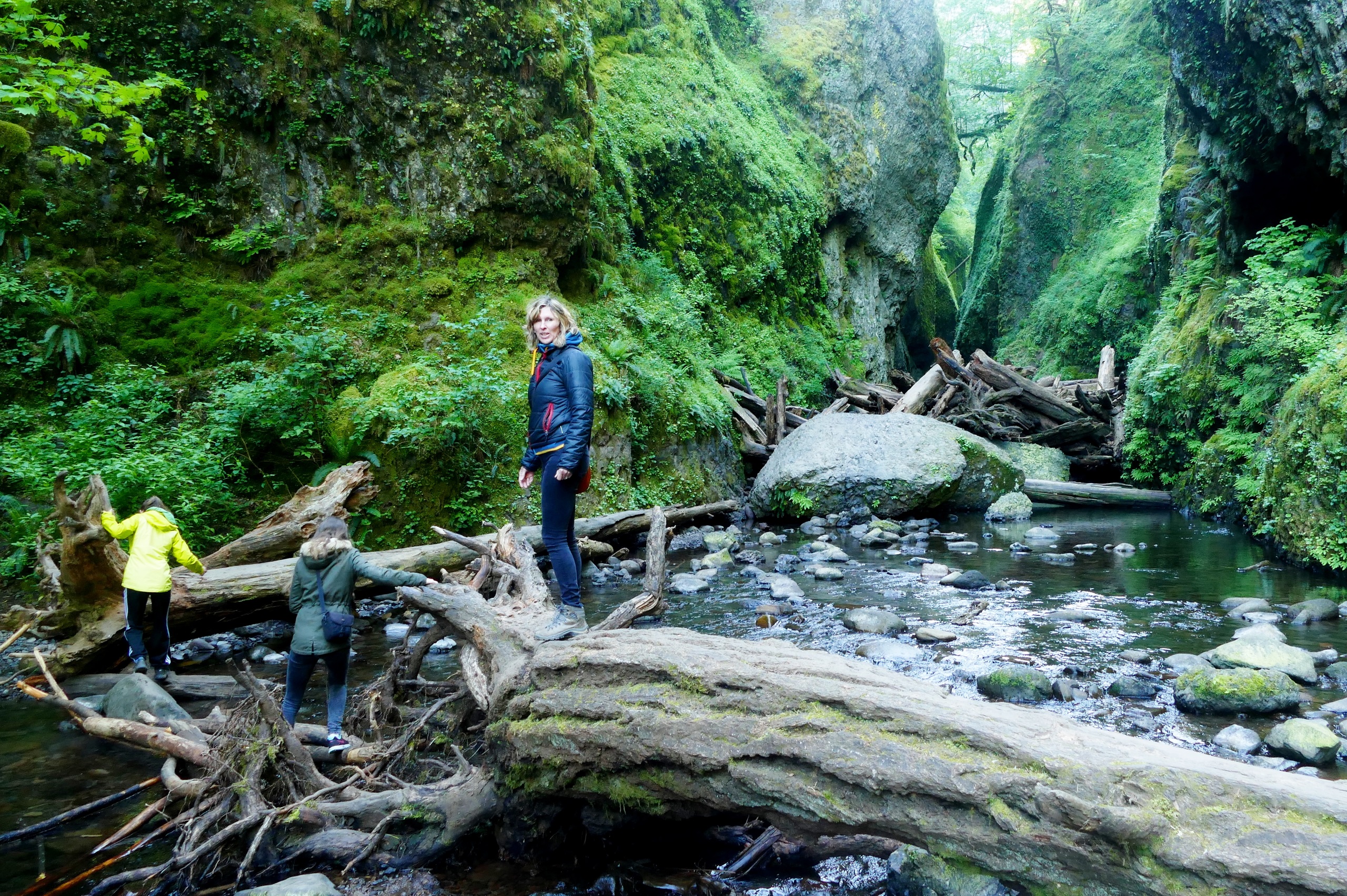 Columbia River Gorge hikers