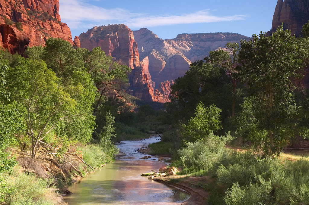 de_virgin_river_in_zion.jpg