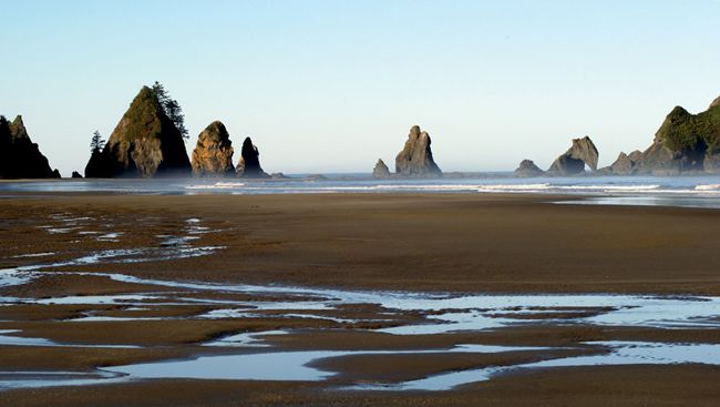 kalaloch-beach.jpg
