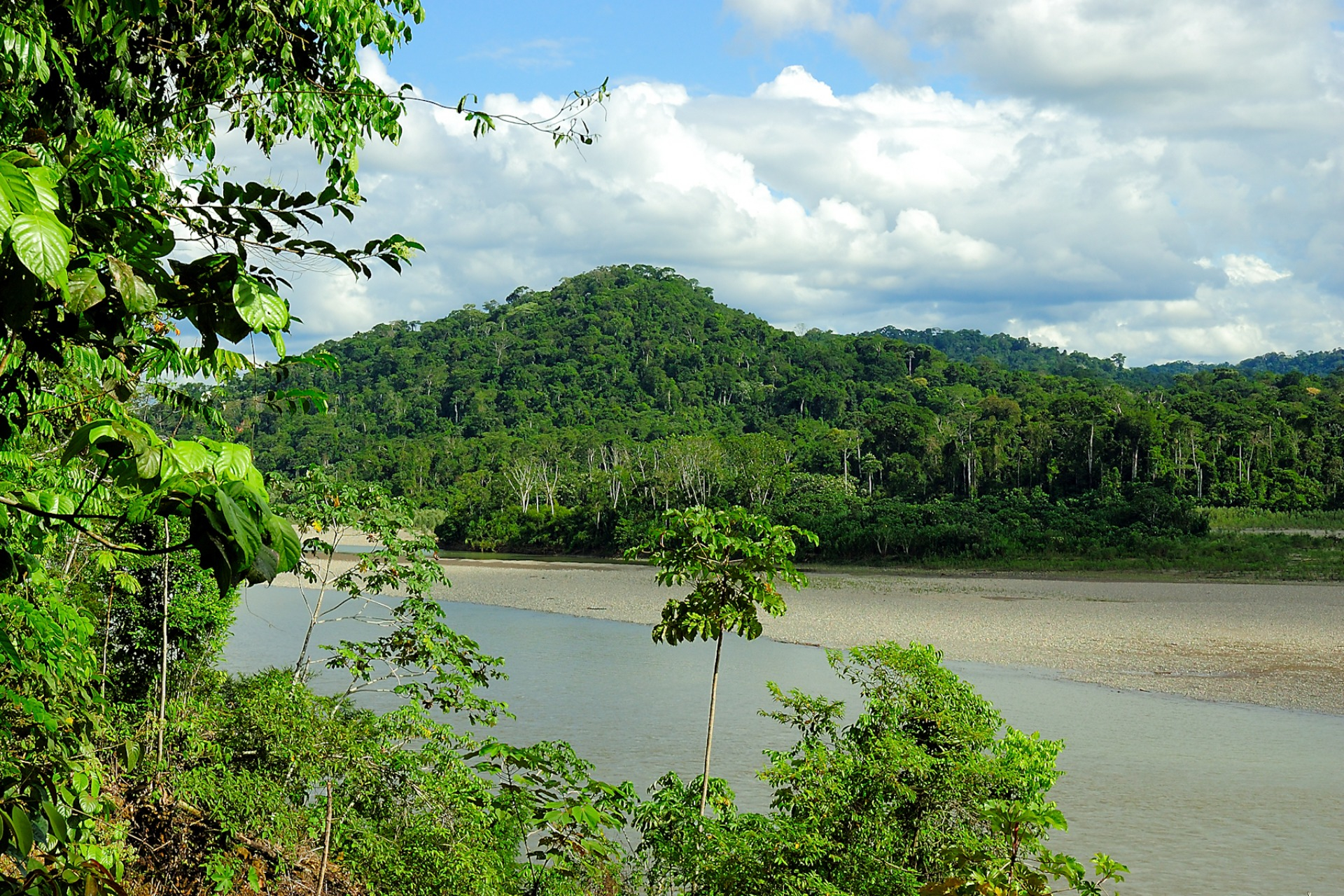 Reis door het Amazonewoud in Peru