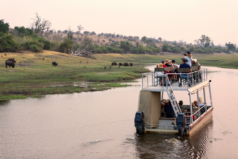 Bootexcursie door Chobe National Park