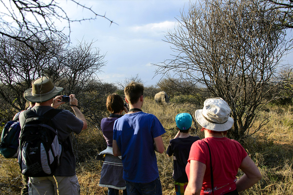 Rhino Tracking in Waterberg Wilderness