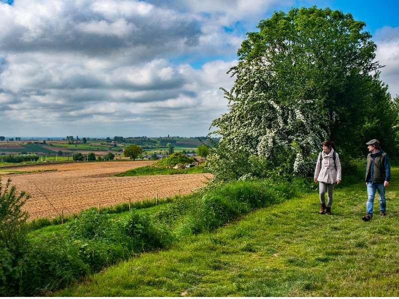 België - Vlaams Heuvelland