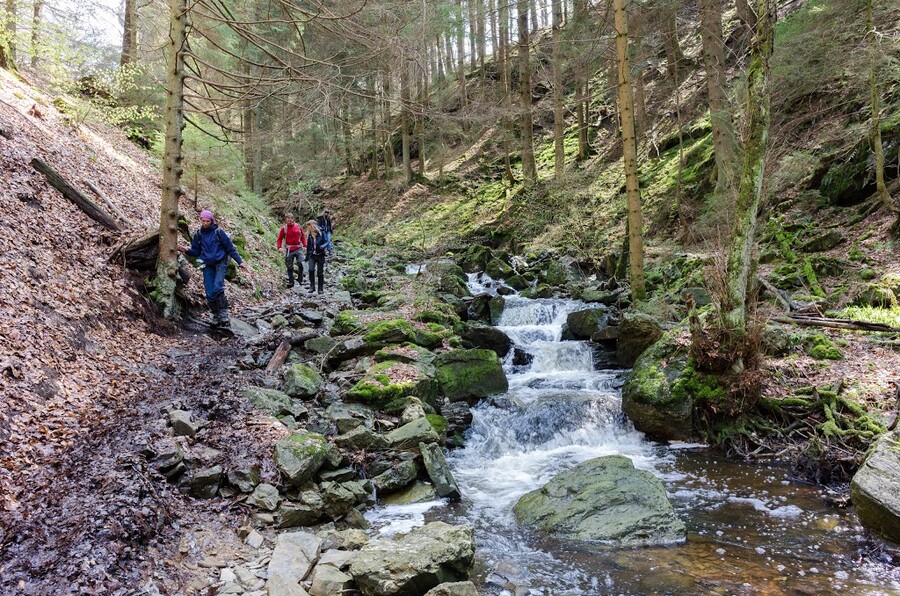 Pittige wandelingen langs beekjes
