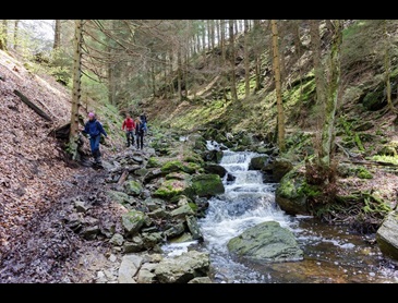 Pittige wandelingen langs beekjes