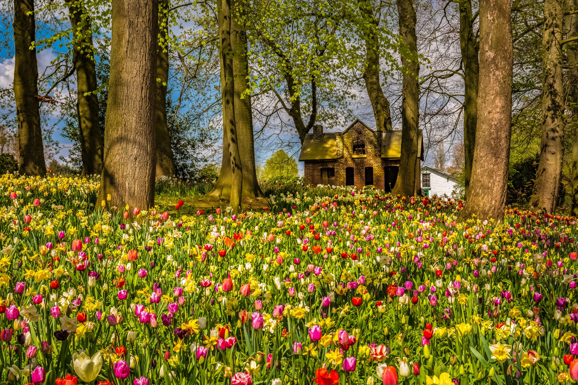 België - Pajottenland