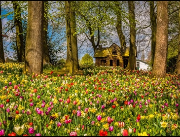 Gaasbeek Kasteel Pajottenland fietsen België
