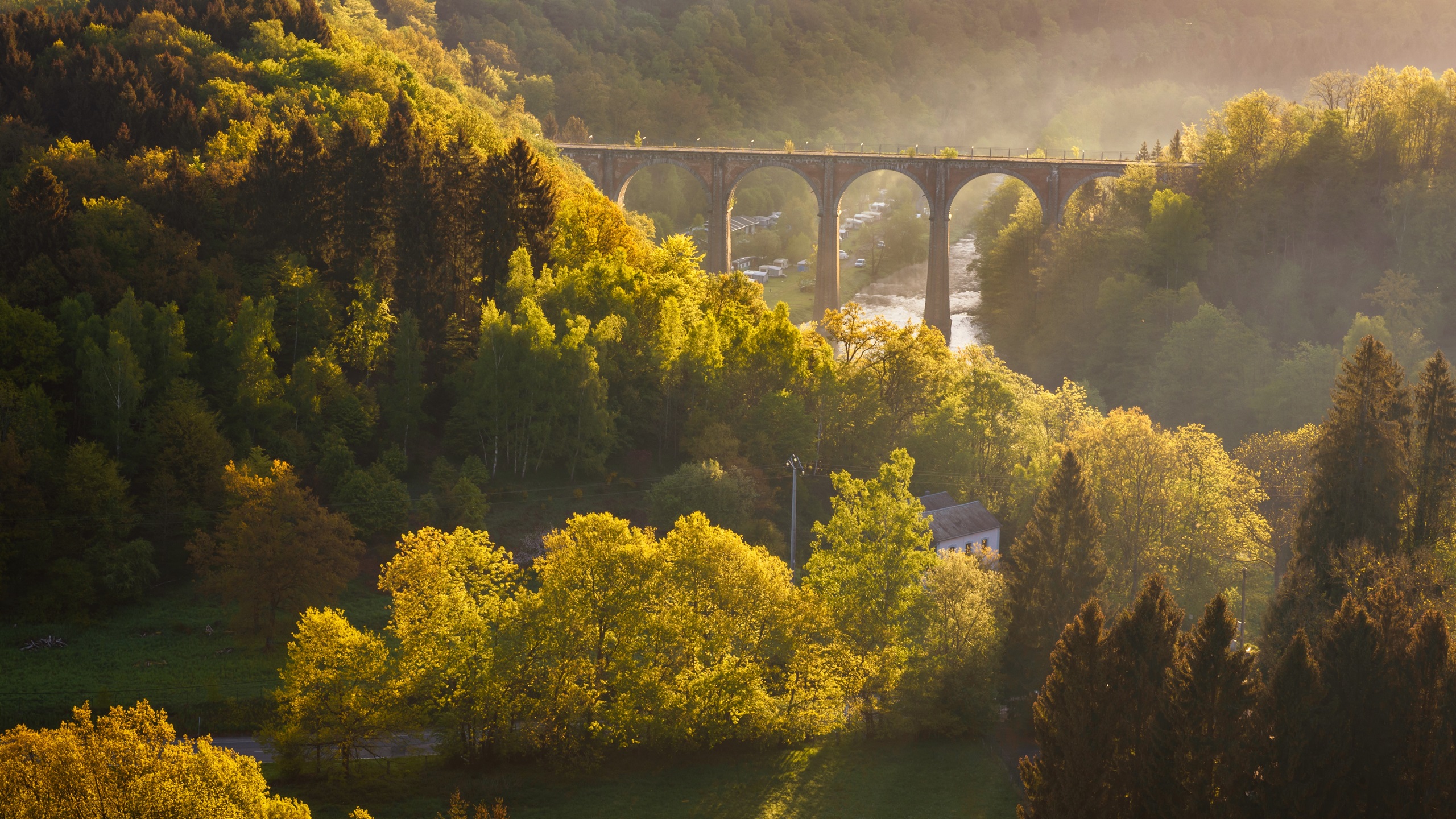 Ardennen in de herst trailrun