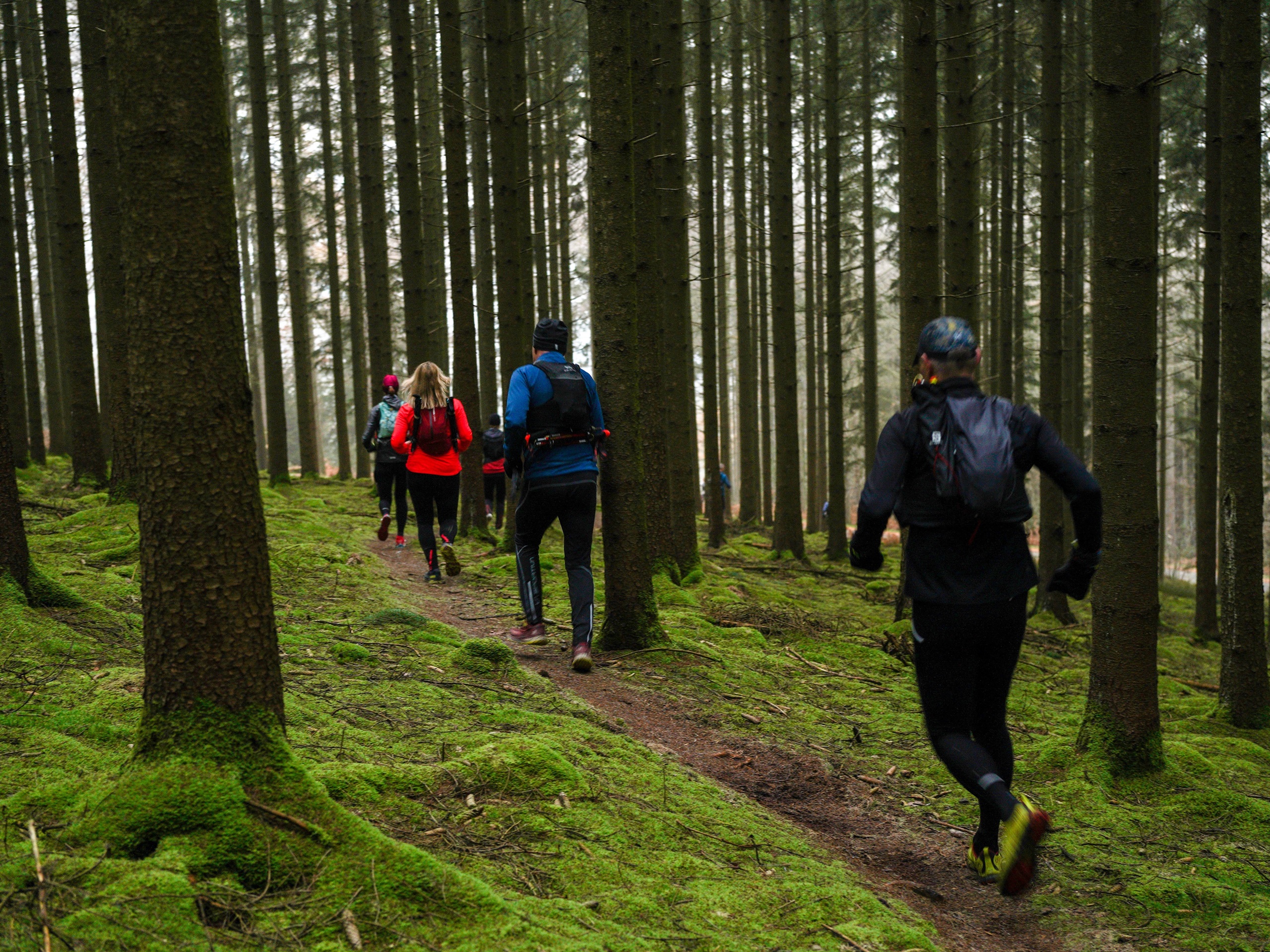 Trailrunschoenen nodig in de Ardennen