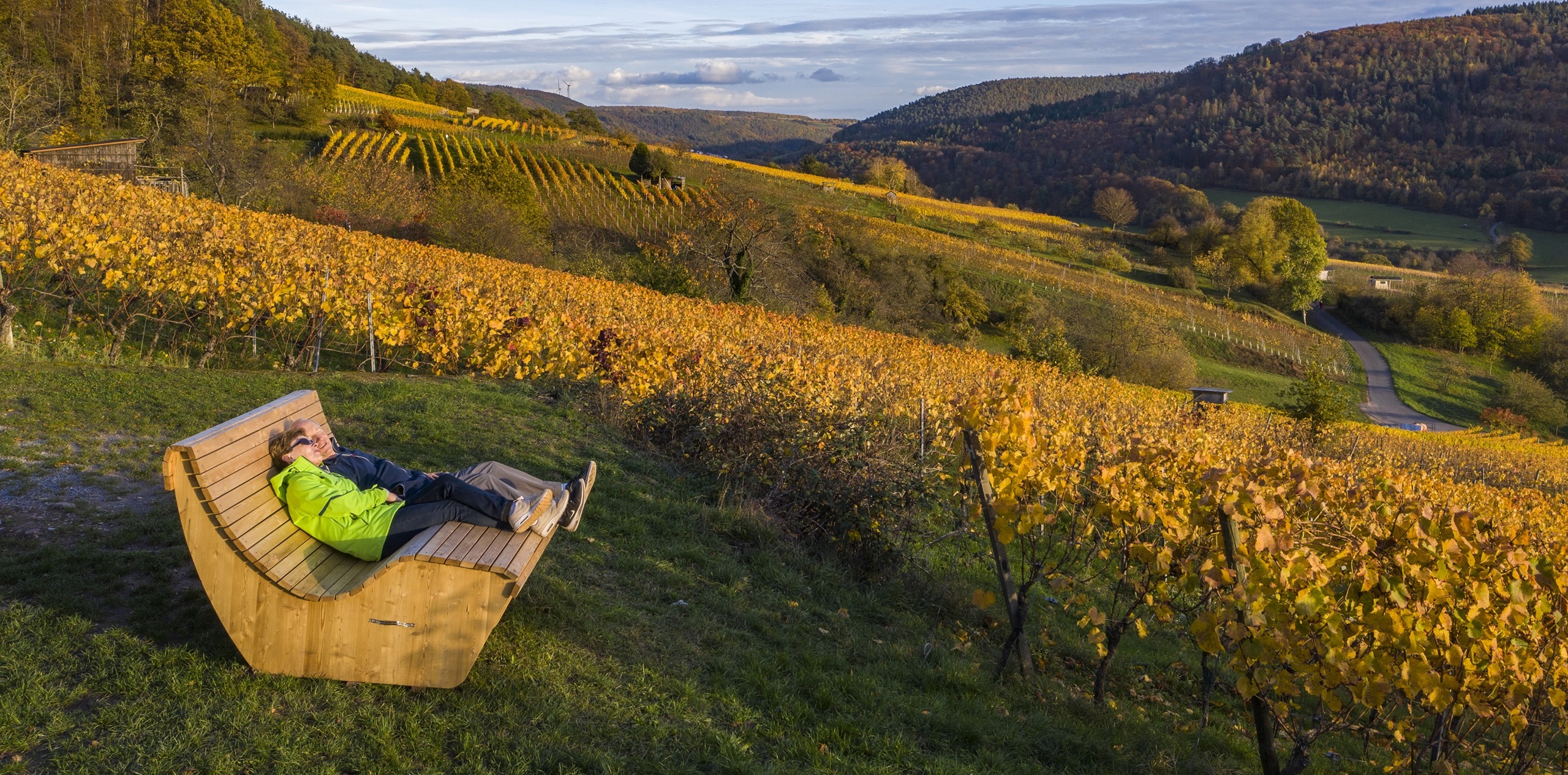 Herbst, Bürgstadt, Weinberge, Weingebiet