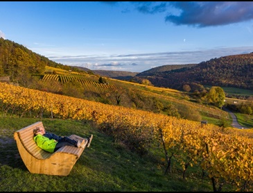 Herbst, Bürgstadt, Weinberge, Weingebiet