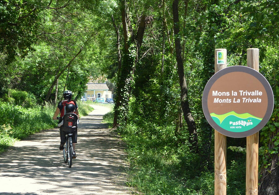 Frankrijk - Haut-Languedoc