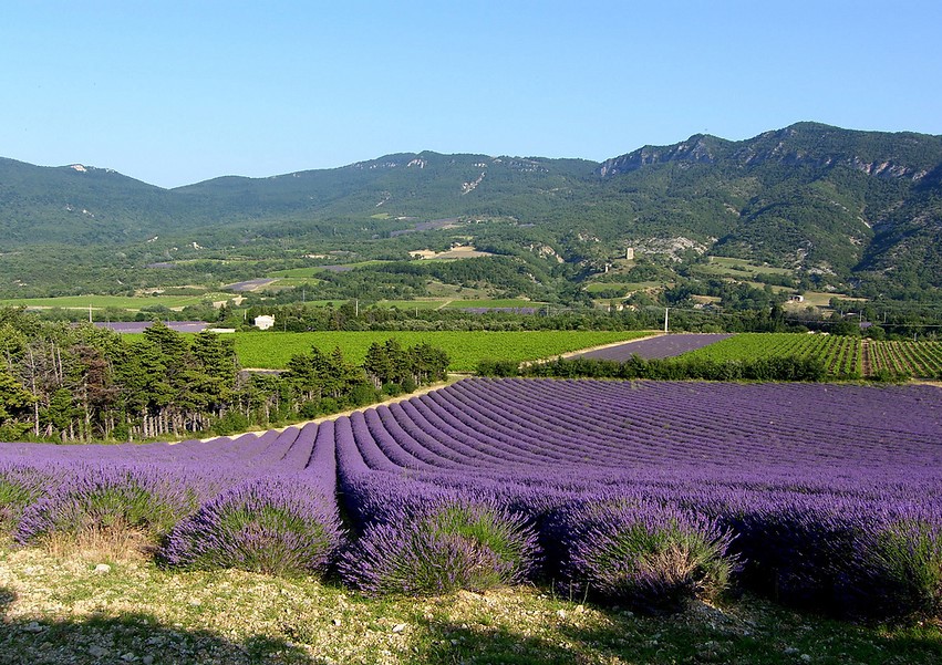 Frankrijk - Drôme