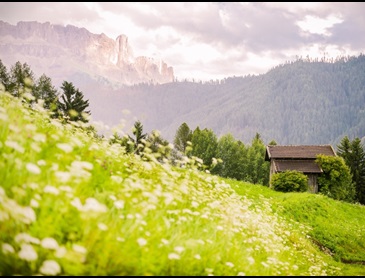 Beleef een heerlijke wandelweek in de Italiaanse Dolomieten, aan de voet van de Rosengarten