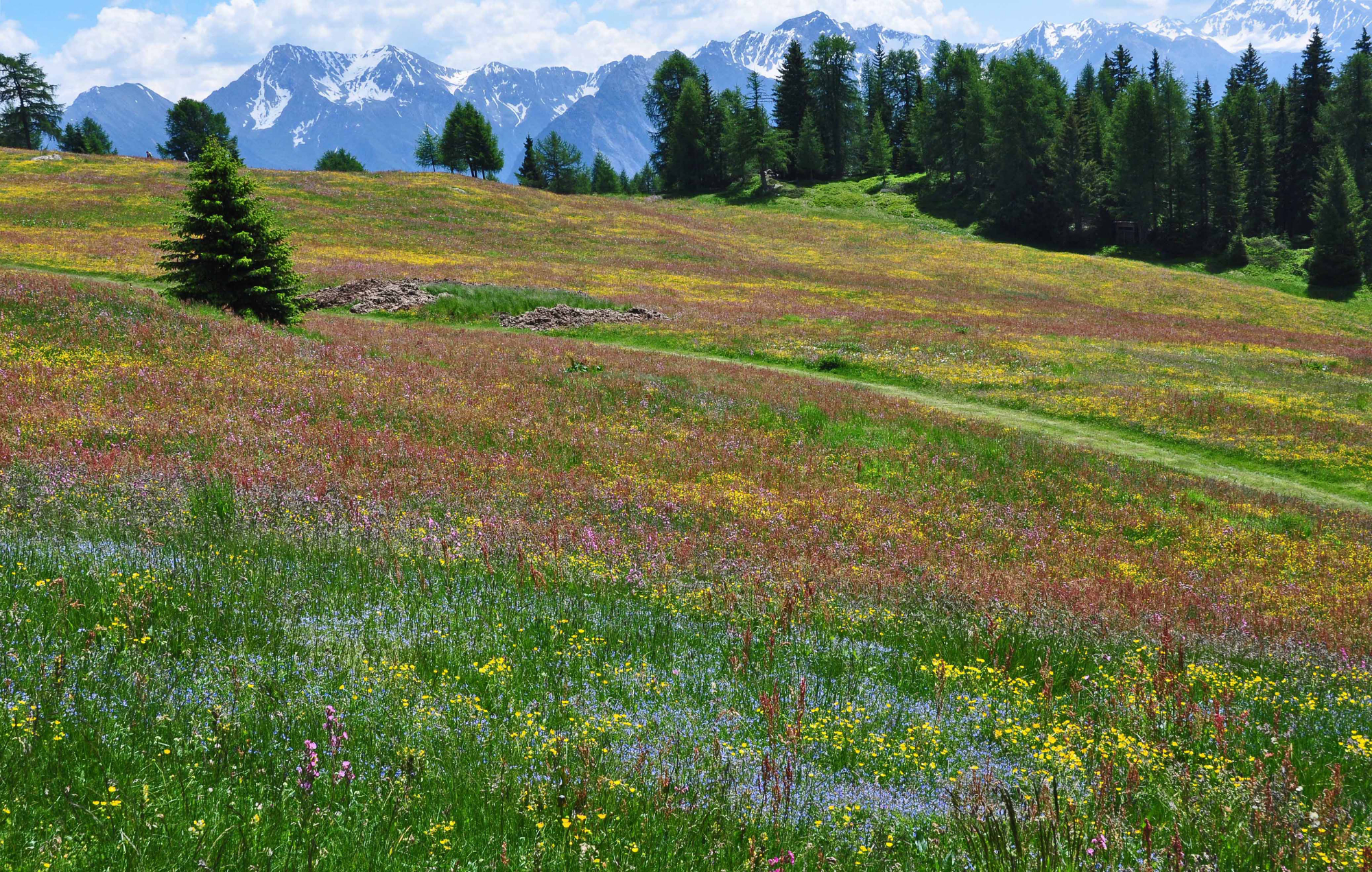 Italië Südtirol Val Passiria zomer wandelen hotel Jägerhof