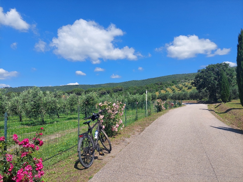 Italië - Toscane, Maremma