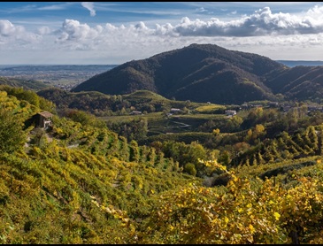 Heerlijke fietsweek door de proseccoheuvels van de Veneto