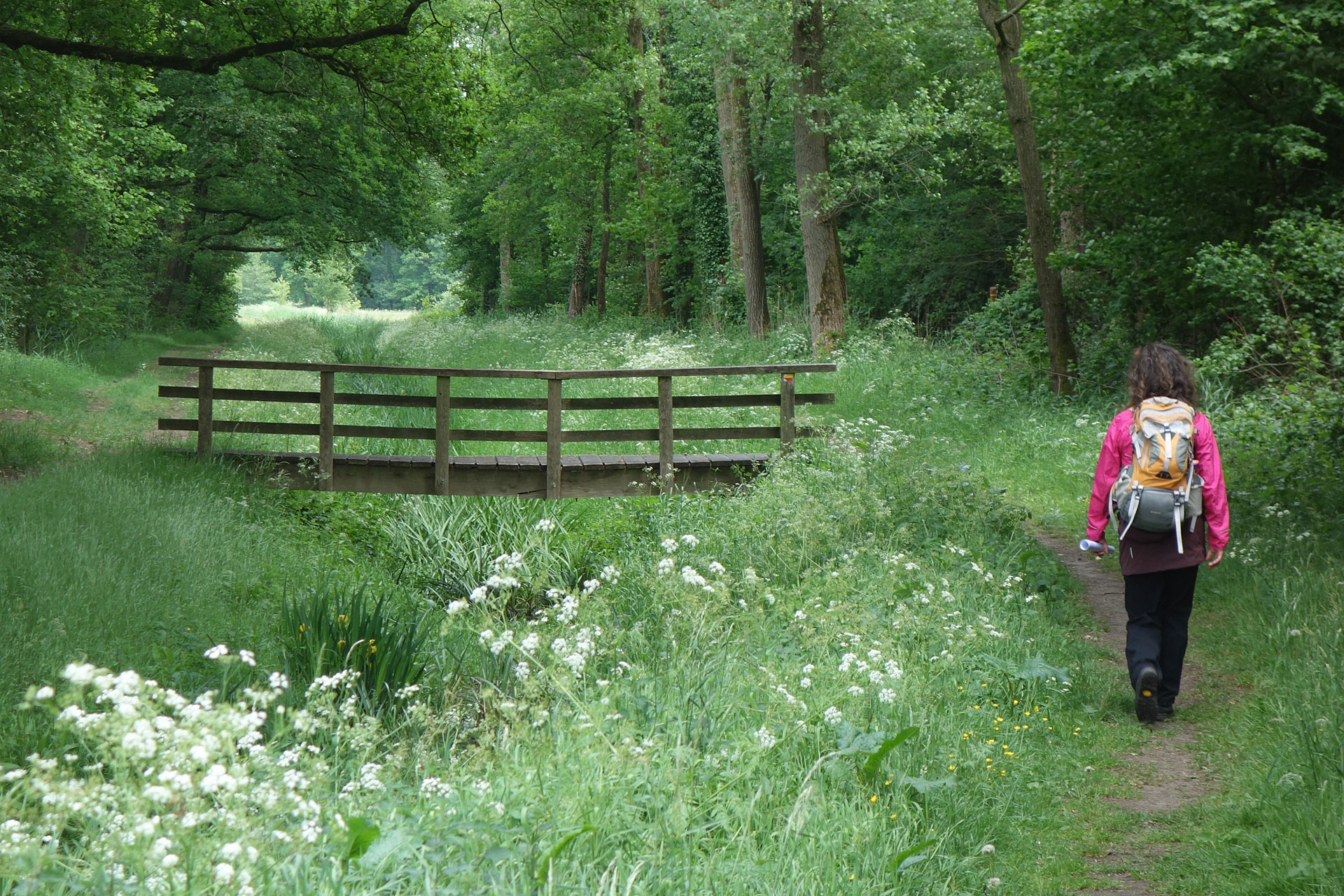 Wandelen IJsselvallei