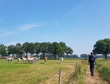 Twente-Dinkelpad wandelen